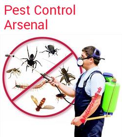 pest control Arsenal