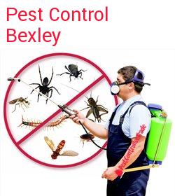 pest control Bexley