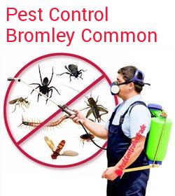 pest control Bromley Common