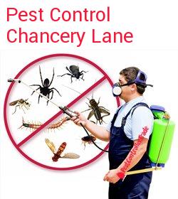 pest control Chancery Lane