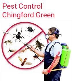pest control Chingford Green