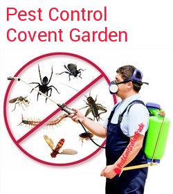pest control Covent Garden