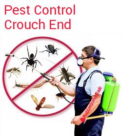 pest control Crouch End