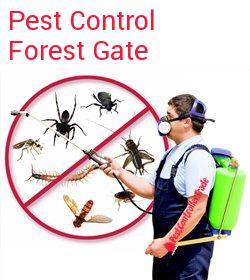 pest control Forest Gate