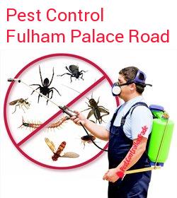 pest control Fulham Palace Road