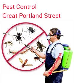 pest control Great Portland Street
