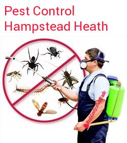 pest control Hampstead Heath