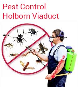 pest control Holborn Viaduct
