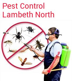 pest control Lambeth North