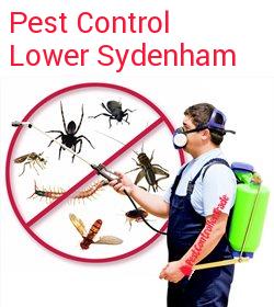 pest control Lower Sydenham