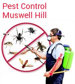 pest control Muswell Hill
