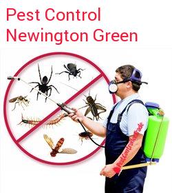 pest control Newington Green