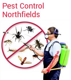 pest control Northfields