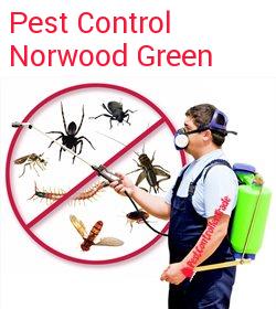 pest control Norwood Green