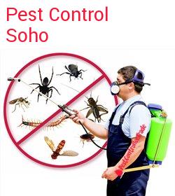 pest control Soho