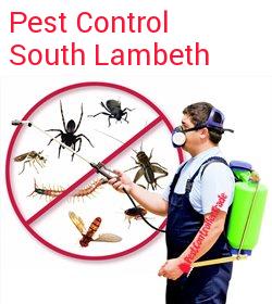 pest control South Lambeth
