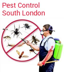 pest control South London