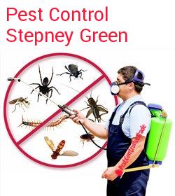 pest control Stepney Green