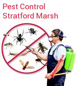 pest control Stratford Marsh
