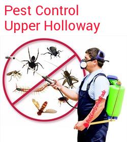 pest control Upper Holloway