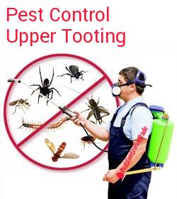 pest control Upper Tooting