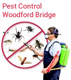 pest control Woodford Bridge