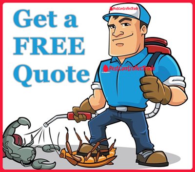 Get a Quote